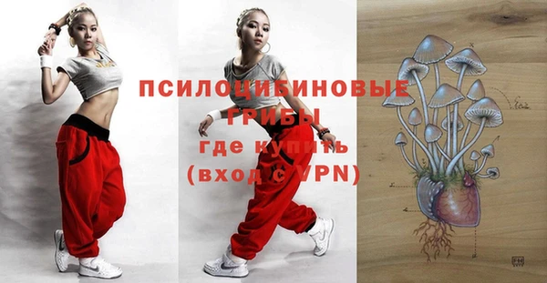 apvp Балахна