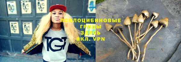 apvp Балахна