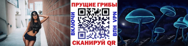 Галлюциногенные грибы MAGIC MUSHROOMS  купить наркоту  kraken ТОР  Златоуст 